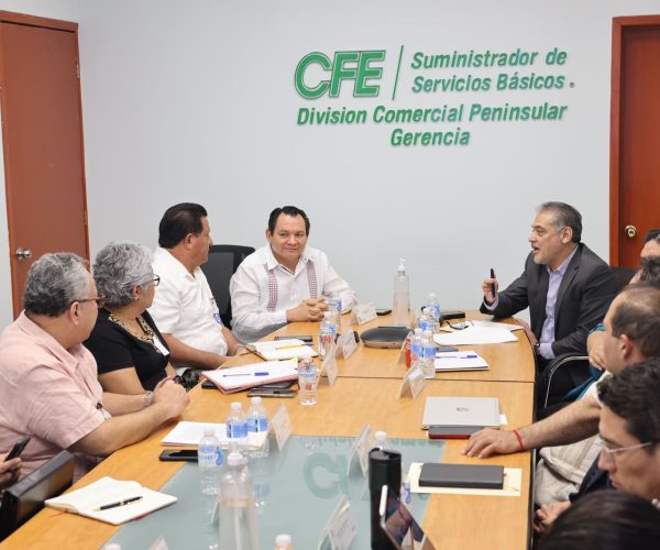 MESA DE DIÁLOGO ENTRE EL GOBIERNO Y CFE