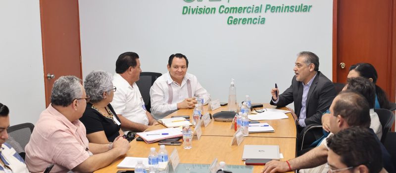 MESA DE DIÁLOGO ENTRE EL GOBIERNO Y CFE