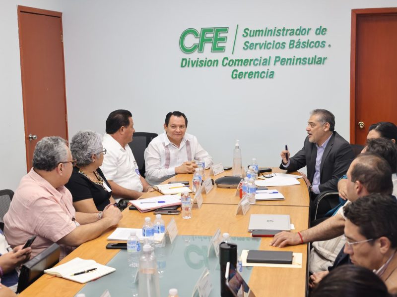 MESA DE DIÁLOGO ENTRE EL GOBIERNO Y CFE