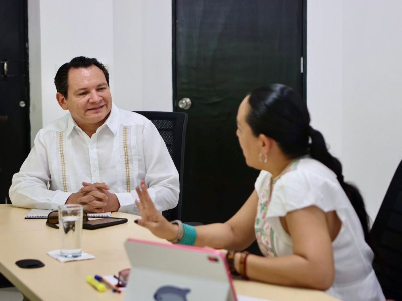 URGE COMBATIR EL EXCESIVO CALOR EN ZONAS URBANAS: JDM