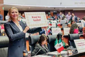 EN BENEFICIO DE LAS COMUNIDADES ORIGINARIAS DE MÉXICO