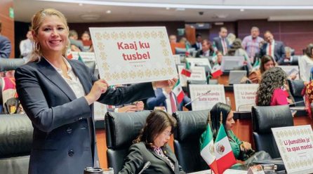 EN BENEFICIO DE LAS COMUNIDADES ORIGINARIAS DE MÉXICO