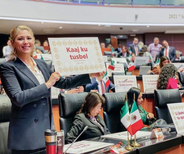 EN BENEFICIO DE LAS COMUNIDADES ORIGINARIAS DE MÉXICO