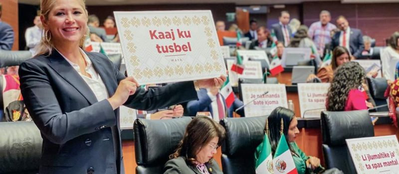 EN BENEFICIO DE LAS COMUNIDADES ORIGINARIAS DE MÉXICO