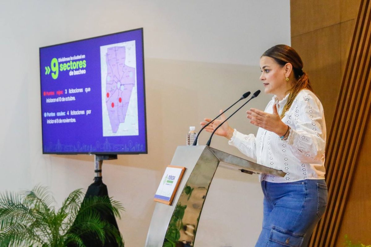 CERO BACHES AVANZA A PASOS AGIGANTADOS