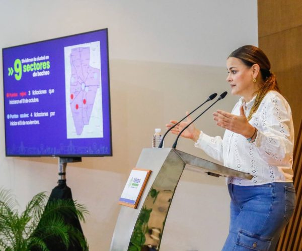 CERO BACHES AVANZA A PASOS AGIGANTADOS