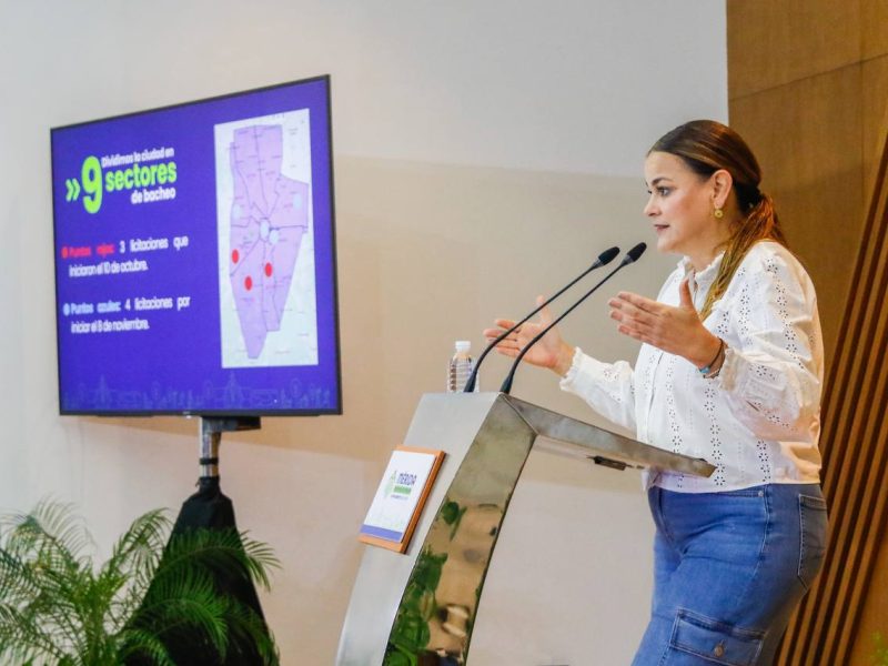 CERO BACHES AVANZA A PASOS AGIGANTADOS