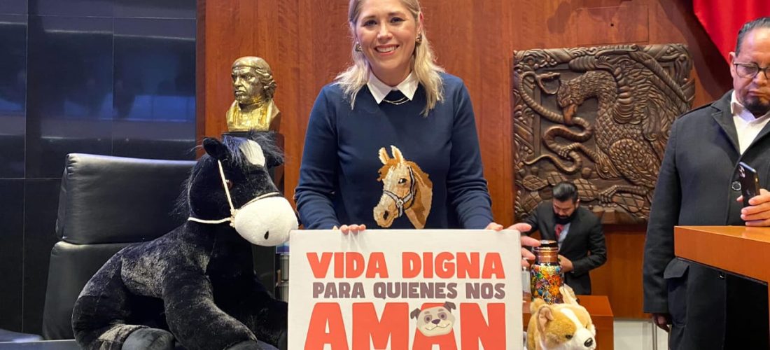 CON ESTA REFORMA SE RECONOCE Y DIGNIFICA A LOS ANIMALES: VCF