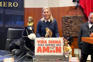 CON ESTA REFORMA SE RECONOCE Y DIGNIFICA A LOS ANIMALES: VCF