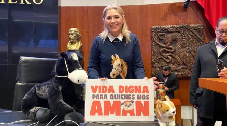 CON ESTA REFORMA SE RECONOCE Y DIGNIFICA A LOS ANIMALES: VCF