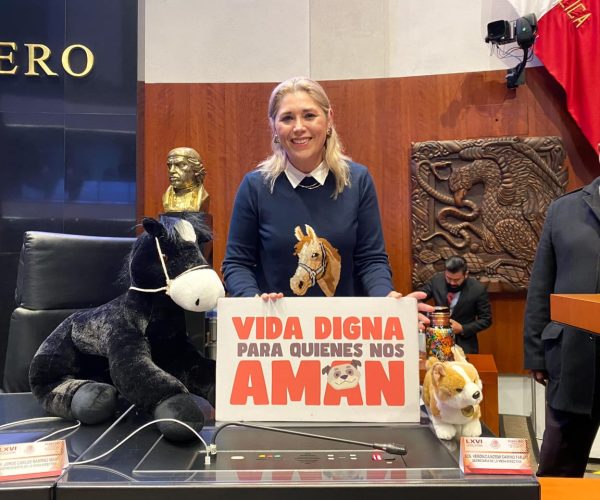 CON ESTA REFORMA SE RECONOCE Y DIGNIFICA A LOS ANIMALES: VCF