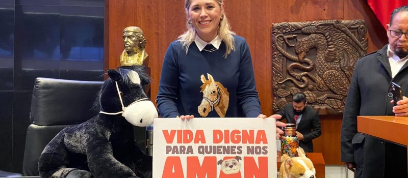 CON ESTA REFORMA SE RECONOCE Y DIGNIFICA A LOS ANIMALES: VCF