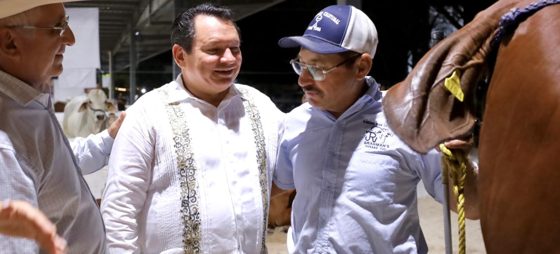 PRESUPUESTO HISTÓRICO PARA EL CAMPO