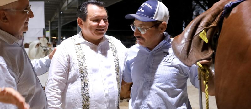 PRESUPUESTO HISTÓRICO PARA EL CAMPO