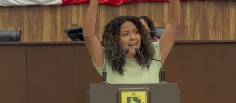 ÓRGANOS AUTÓNOMOS SON UN CONTRAPESO