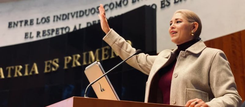 POR LA SALUD Y SEGURIDAD PÚBLICA