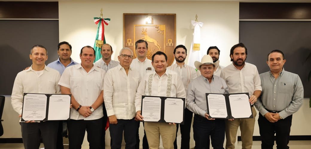 PARQUE EÓLICO EN TIZIMÍN