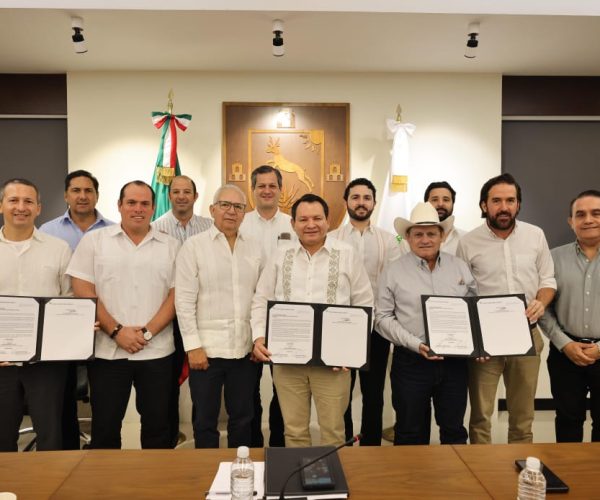 PARQUE EÓLICO EN TIZIMÍN