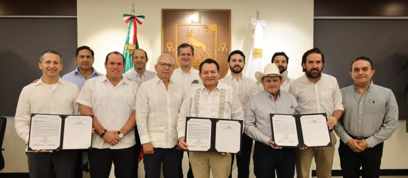 PARQUE EÓLICO EN TIZIMÍN