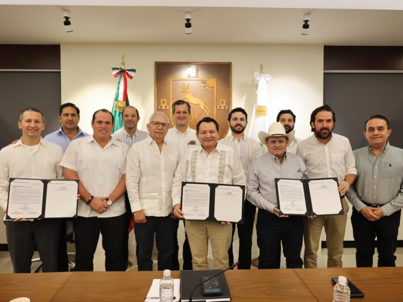 PARQUE EÓLICO EN TIZIMÍN