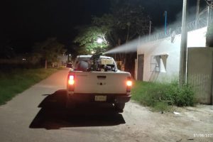 ACCIONES PERMANENTES PARA COMBATIR ZIKA Y CHIKUNGUNYA