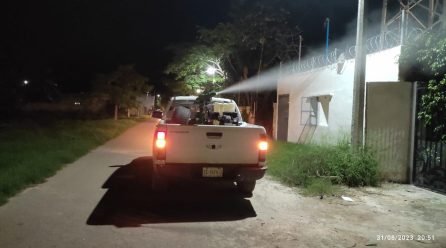 ACCIONES PERMANENTES PARA COMBATIR ZIKA Y CHIKUNGUNYA