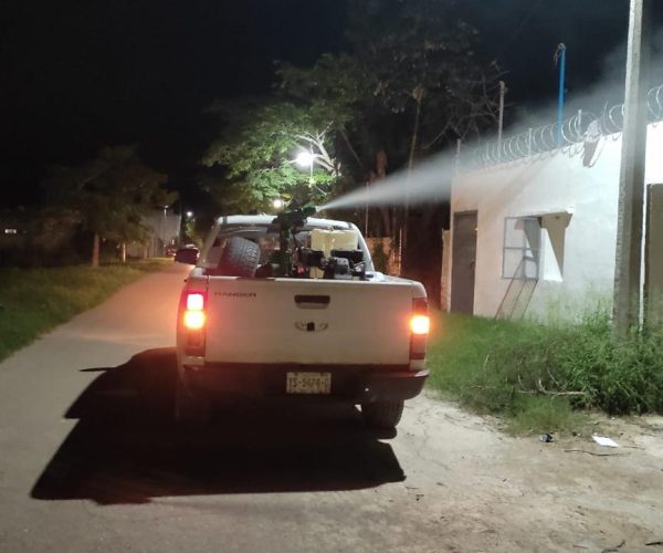 ACCIONES PERMANENTES PARA COMBATIR ZIKA Y CHIKUNGUNYA