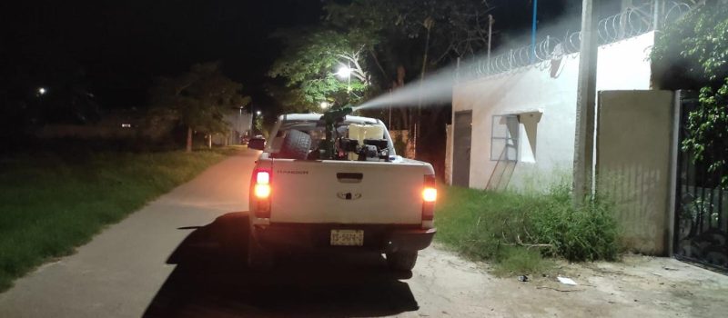 ACCIONES PERMANENTES PARA COMBATIR ZIKA Y CHIKUNGUNYA