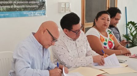 HASTA RESOLVER EL CASO DE MAYALAND