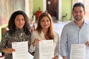 MC PIDEN UN ANÁLISIS MINUCIOSO