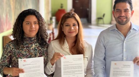 MC PIDEN UN ANÁLISIS MINUCIOSO