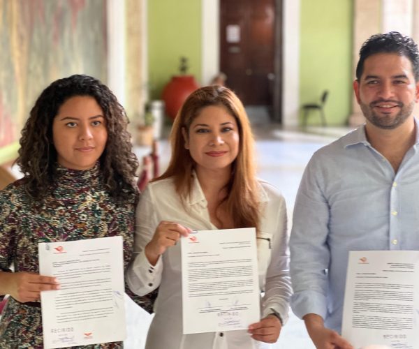 MC PIDEN UN ANÁLISIS MINUCIOSO