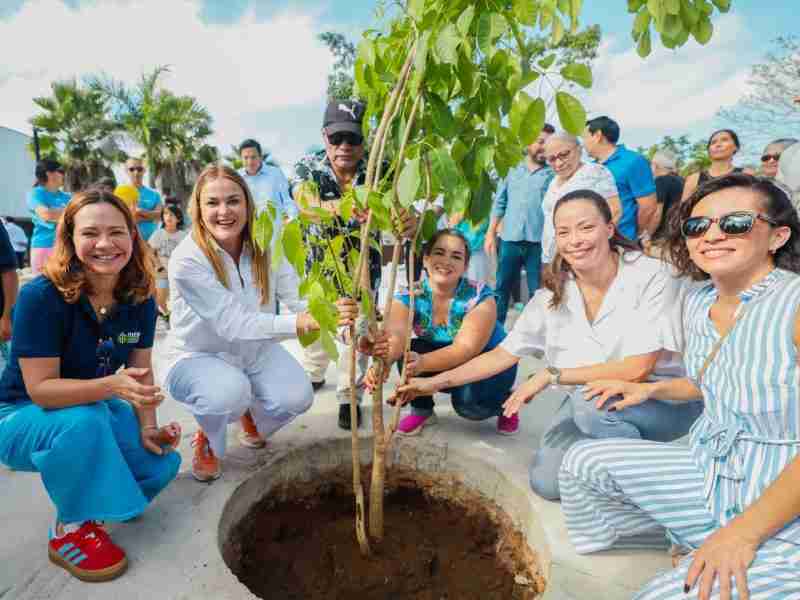 DISEÑA TÚ CIUDAD, TÚ PROPONES, CREAS Y ELIGES