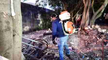 SE HAN DETECTADO 20 PREDIOS QUE ACUMULAN BASURA