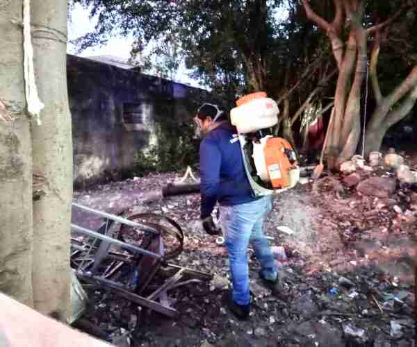 SE HAN DETECTADO 20 PREDIOS QUE ACUMULAN BASURA