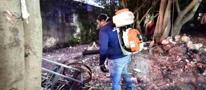 SE HAN DETECTADO 20 PREDIOS QUE ACUMULAN BASURA