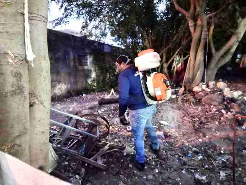 SE HAN DETECTADO 20 PREDIOS QUE ACUMULAN BASURA