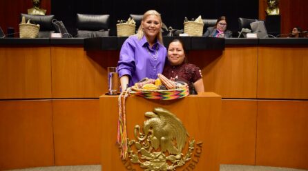 MAÍCES NATIVOS SIMBOLO DE IDENTIDAD NACIONAL