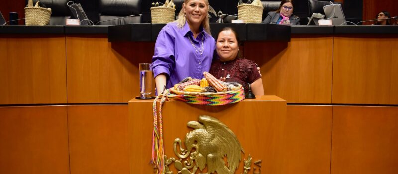 MAÍCES NATIVOS SIMBOLO DE IDENTIDAD NACIONAL