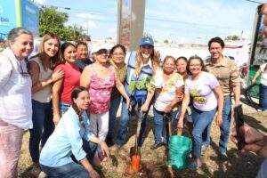 “MÉRIDA VERDE” PARA MITIGAR EL CALOR