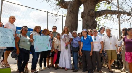 PARA PROTEGER NUESTROS ÁRBOLES MAJESTUOSOS: CPL