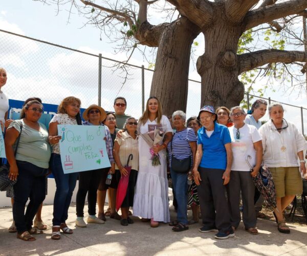 PARA PROTEGER NUESTROS ÁRBOLES MAJESTUOSOS: CPL