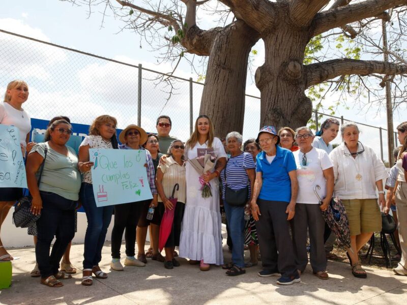 PARA PROTEGER NUESTROS ÁRBOLES MAJESTUOSOS: CPL