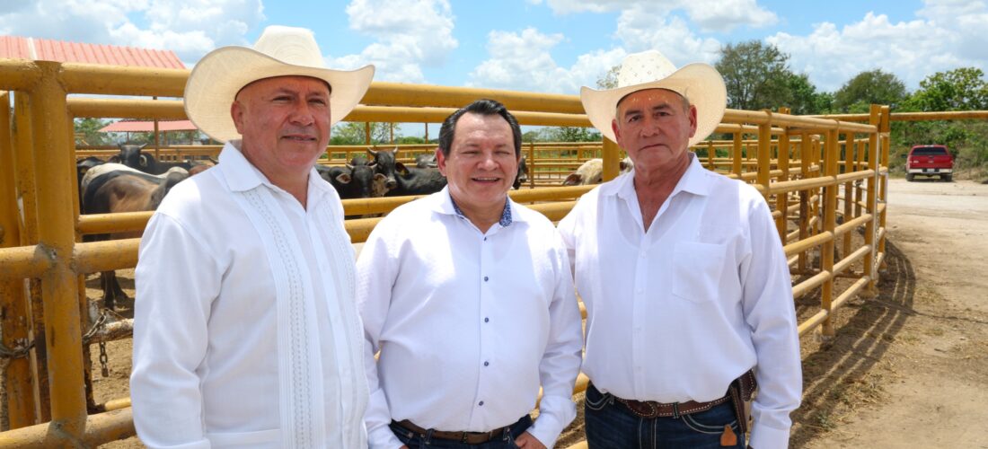 MECANIZACIÓN, RIEGO E INSEMINACIÓN PARA IMPULSAR EL CAMPO