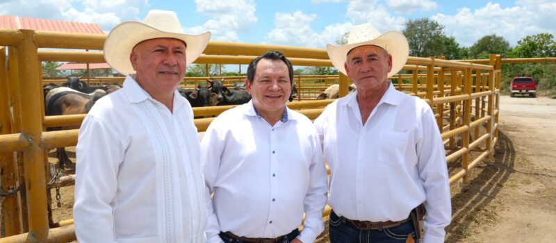 MECANIZACIÓN, RIEGO E INSEMINACIÓN PARA IMPULSAR EL CAMPO