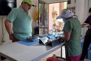 PERROS Y GATOS SON MASCOTAS MÁS FELICES Y SANAS