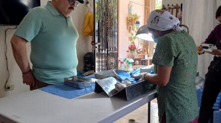 PERROS Y GATOS SON MASCOTAS MÁS FELICES Y SANAS