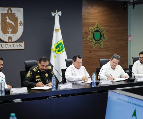 EN MARCHA EL SISTEMA INTELIGENTE DE EMPLACAMIENTO