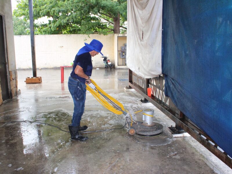 “EL MERCADO ES TUYO” PROGRAMA DEL AYUNTAMIENTO