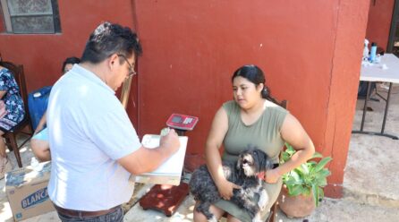 LA CIUDADANIA SABE LA IMPORTANCIA DE LA ESTERILIZACIÓN: JCRM